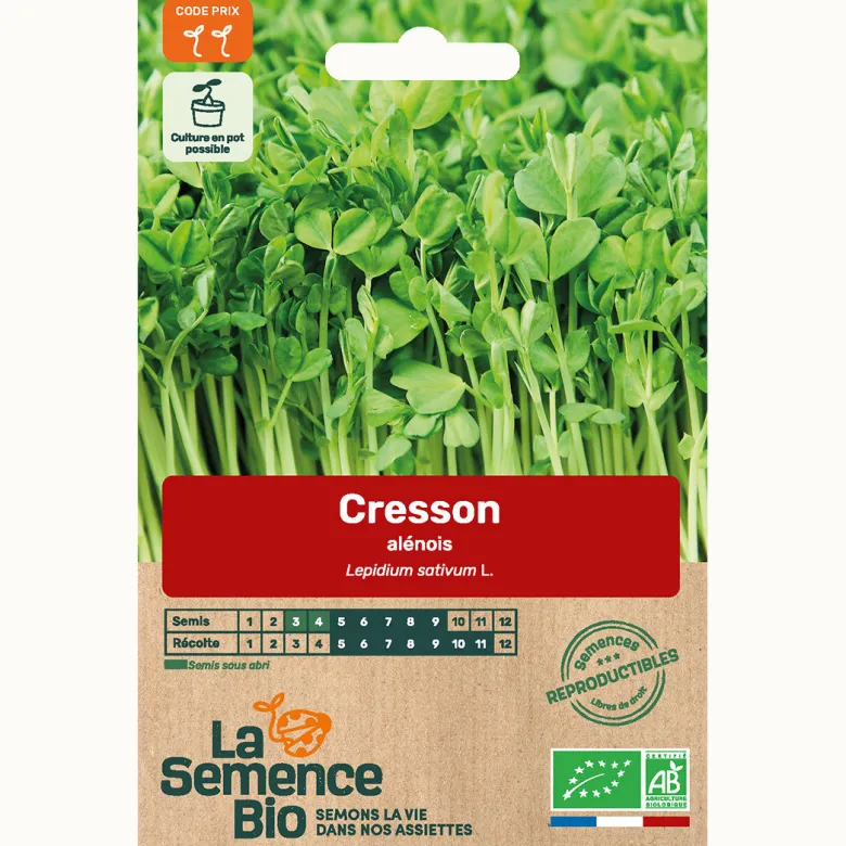 Cresson alénois bio