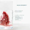 Crème réparatrice cica repa bio
