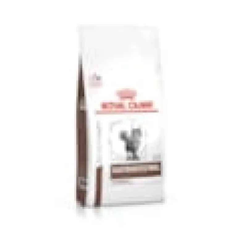Croquettes chat veterinary cat gastrointestinal hairball - royal canin