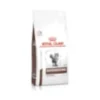 Croquettes chat veterinary cat gastrointestinal hairball - royal canin