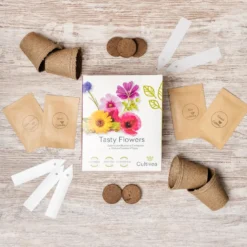 Cultivea - kit de culture fleurs comestibles bio