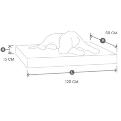 Dauphine lit chien orthopédique mocca xl