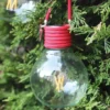 Déco solaire color swing framboise