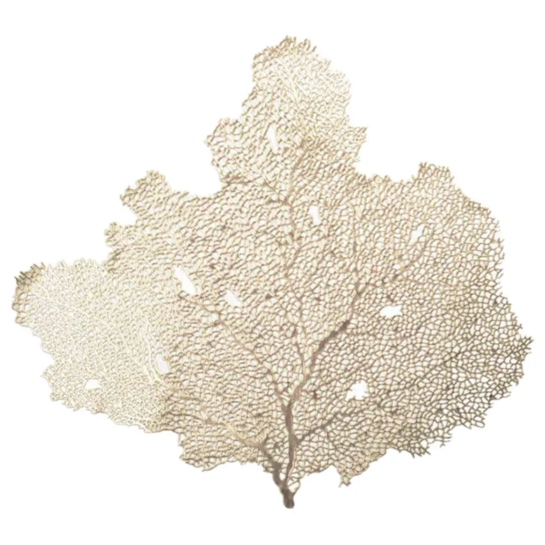 Dessous d'assiette arbre doré - lot de 6