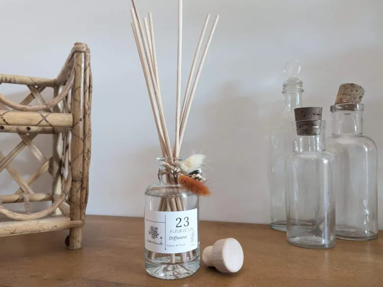 Diffuseur à bâtonnets 100ml polynésie