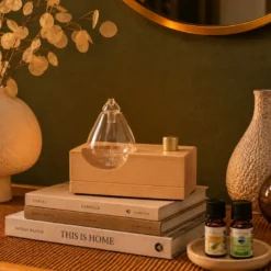 Diffuseur d'huiles essentielles par nébulisation nomade zéphia en bois fsc