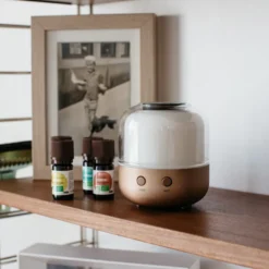 Diffuseur d’huiles essentielles ELO