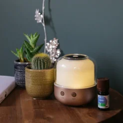 Diffuseur d’huiles essentielles ELO