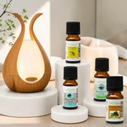Diffuseur medusa + 4 huiles essentielles à diffuser