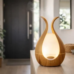 Diffuseur medusa + 4 huiles essentielles à diffuser