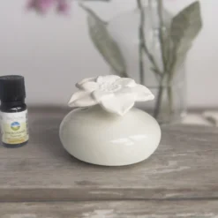 Diffuseur par capilarité narcisse blanc