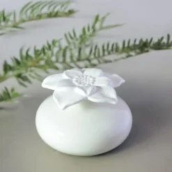Diffuseur par capilarité narcisse blanc