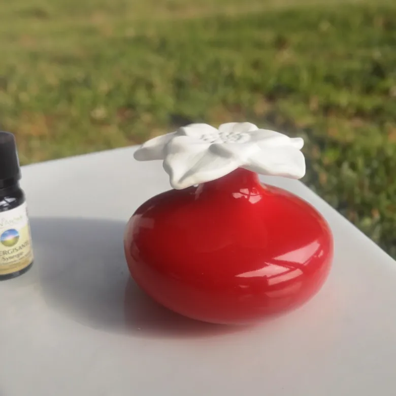 Diffuseur par capilarité narcisse rouge