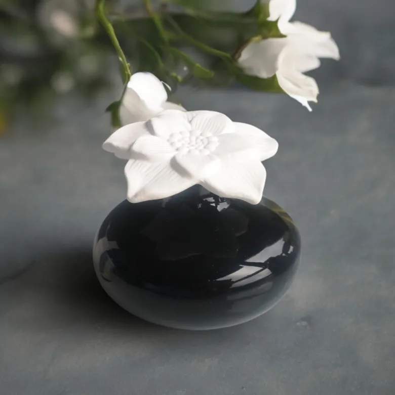 Diffuseur par capilarité narcisse noir