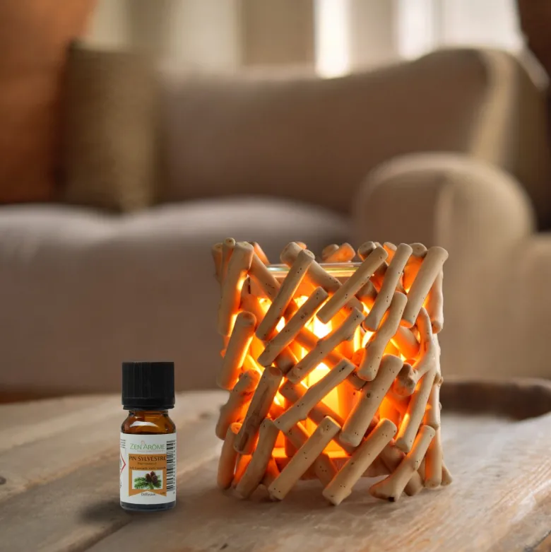 Diffuseur par chaleur douce calorya n°7