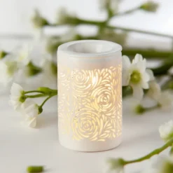 Diffuseur par chaleur douce calorya n°8
