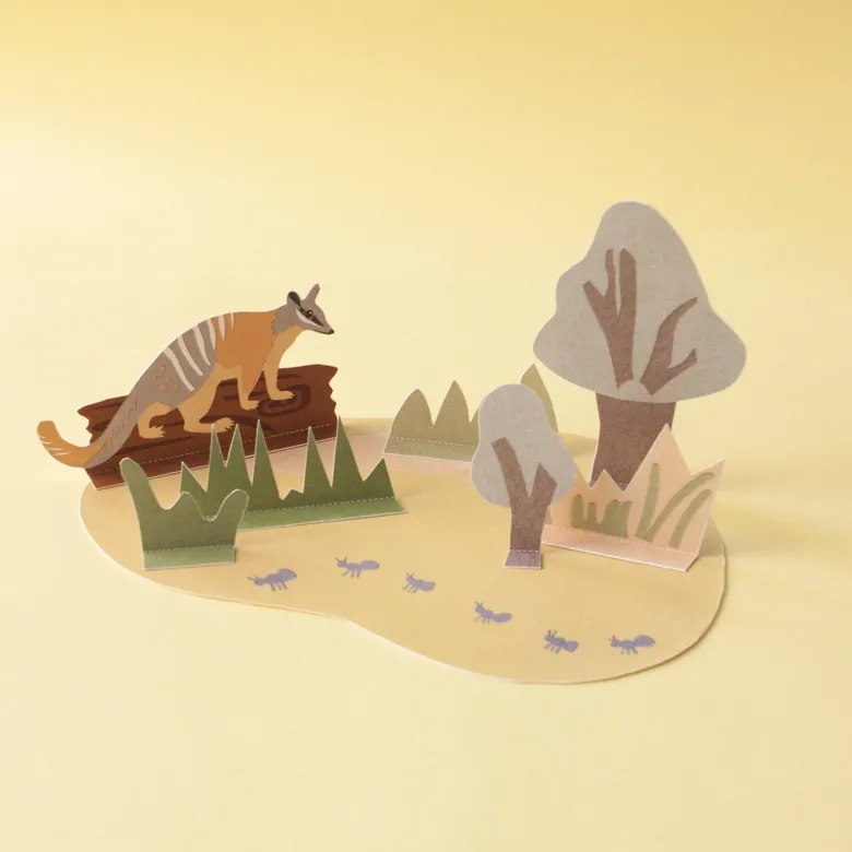 Diorama - le numbat et son habitat