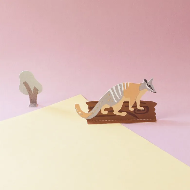 Diorama - le numbat et son habitat