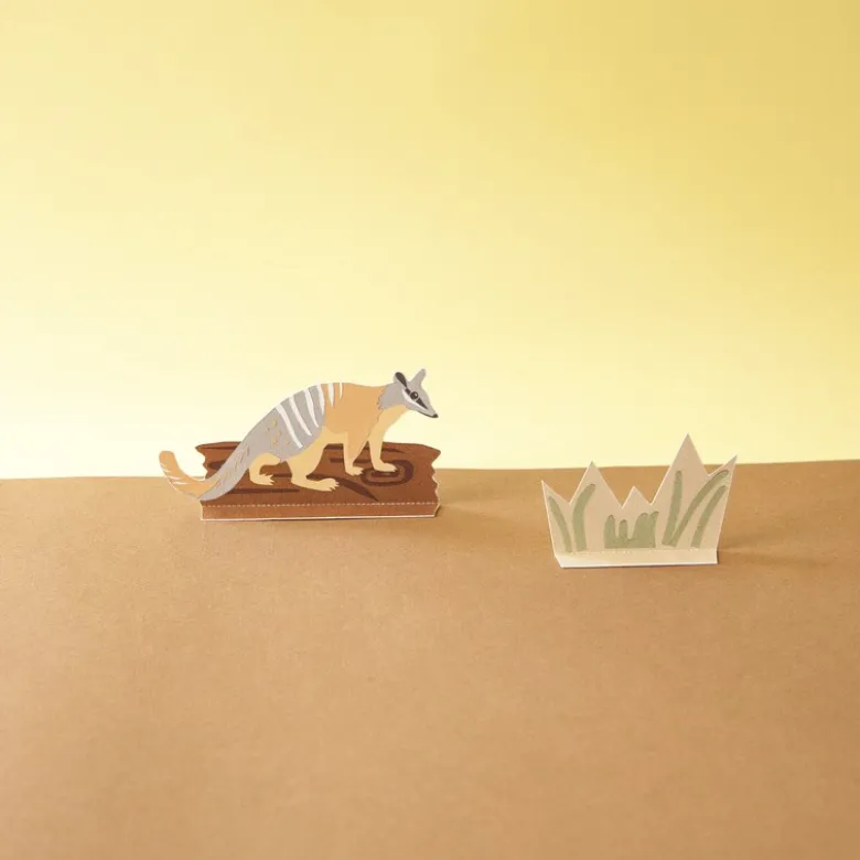 Diorama - le numbat et son habitat