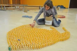 Domino Pestas 100 pièces