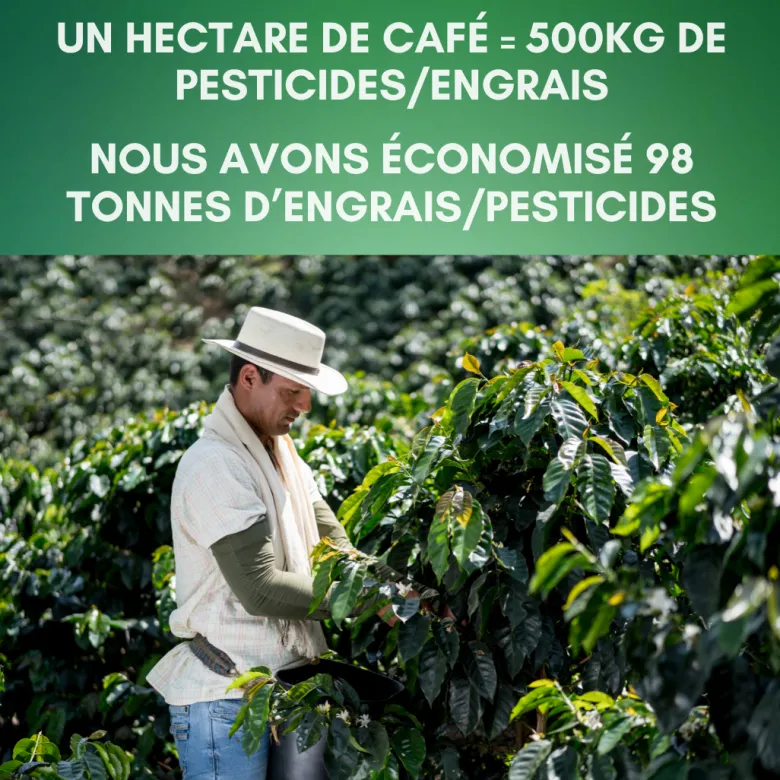 80 dosettes senseo® en café bio du pérou décaféiné à l'eau