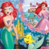 Eco-puzzle 48 pcs mini double face ariel