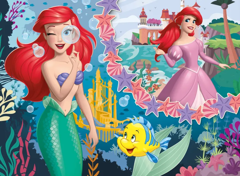 Eco-puzzle 48 pcs mini double face ariel