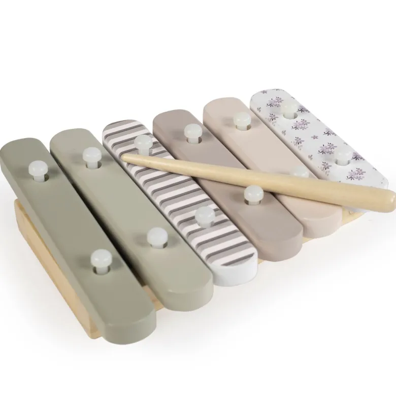 Ensemble d'instruments de musique en bois botton
