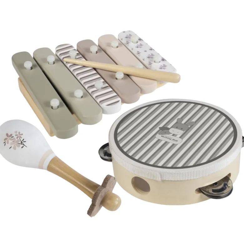 Ensemble d'instruments de musique en bois botton