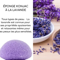 Eponge konjac à la lavande