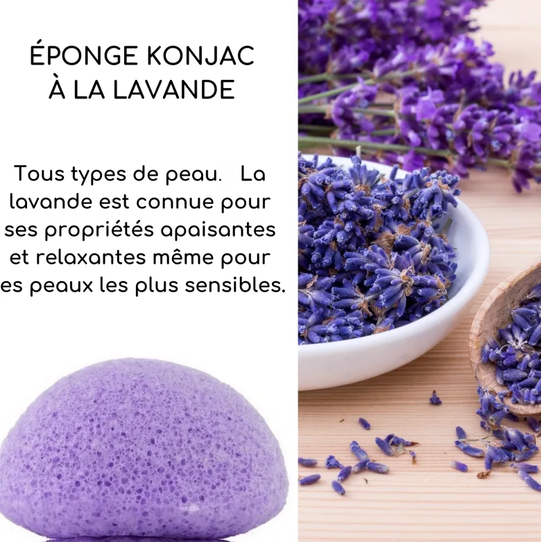 Eponge konjac à la lavande