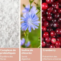 Essentiels flore intime et intestinale