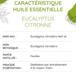 Eucalyptus citronné bio - huile essentie