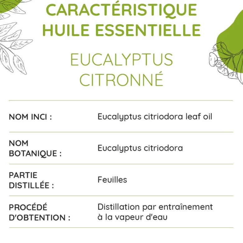 Eucalyptus citronné bio - huile essentie