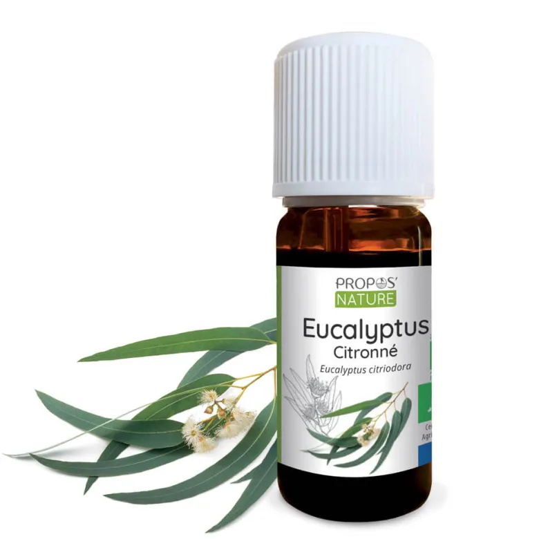 Eucalyptus citronné bio - huile essentie
