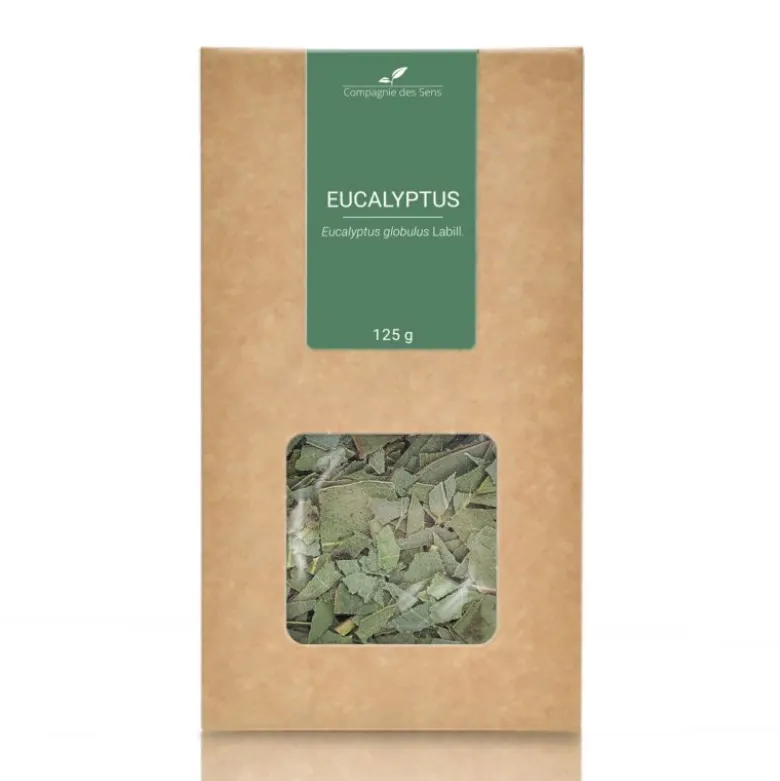 Eucalyptus - 125gr - plante en vrac bio