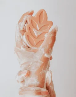 Exfoliant corps