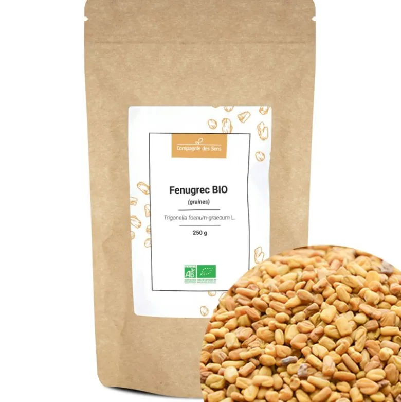 Fenugrec bio - 250g - graines entières