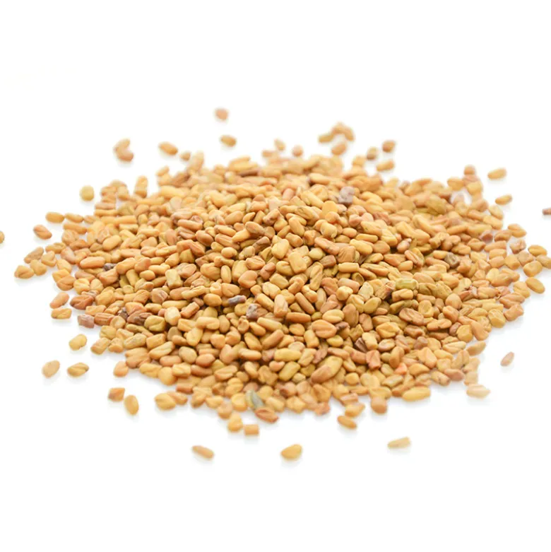 Fenugrec bio - 250g - graines entières