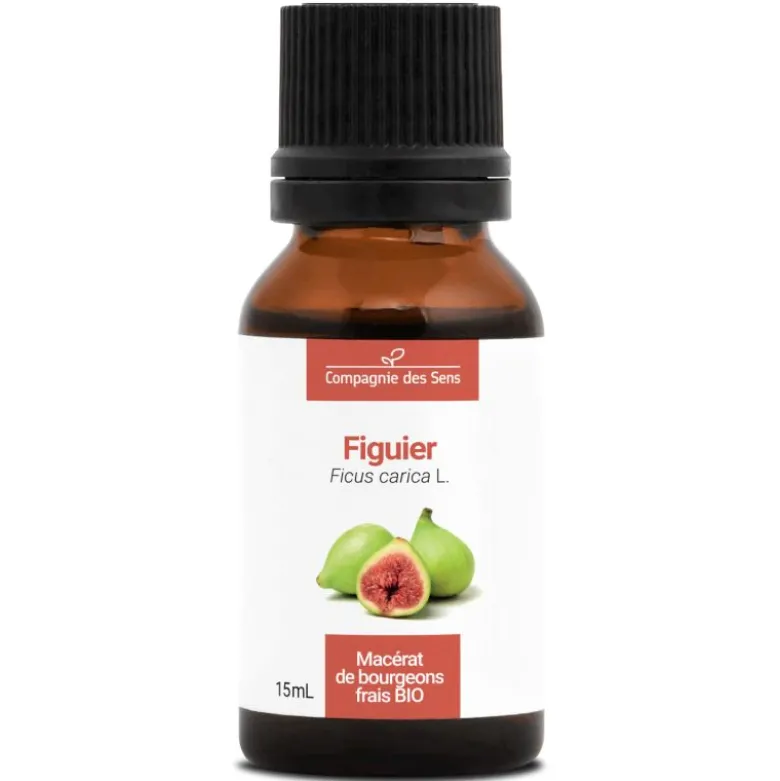Figuier - macérat de bourgeons - 15ml 15