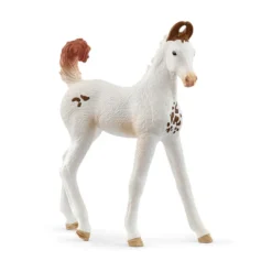 14896 figurine poulain marwari