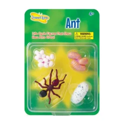 Figurines métamorphose fourmis