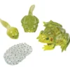 Figurines métamorphose grenouille