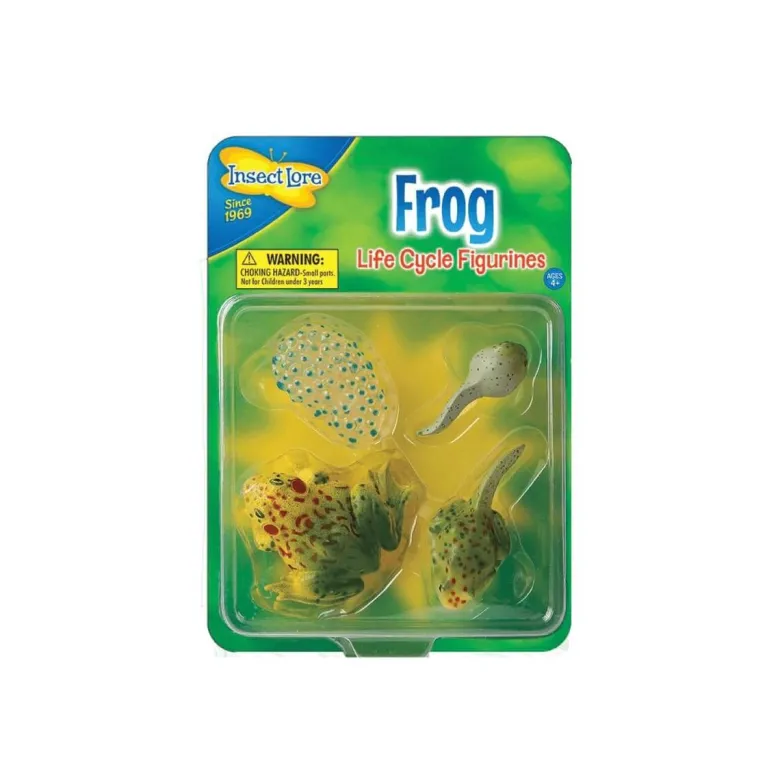 Figurines métamorphose grenouille