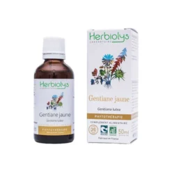 Gentiane 50ml bio