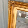 Georges, le miroir doré n°1329
