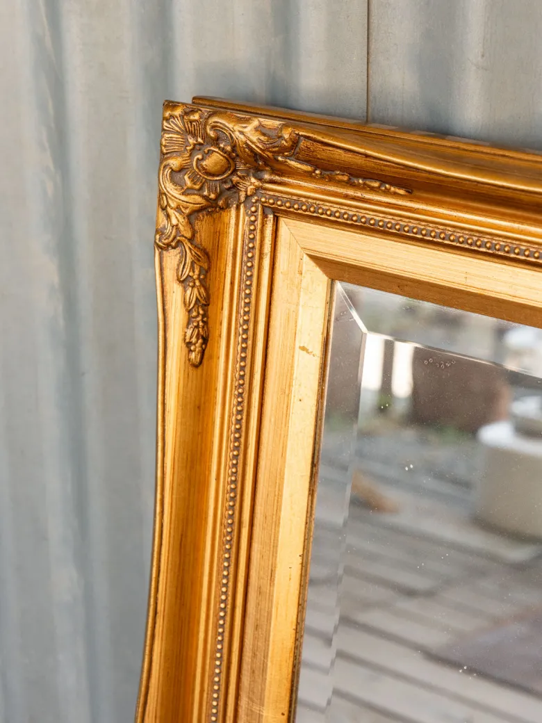Georges, le miroir doré n°1329
