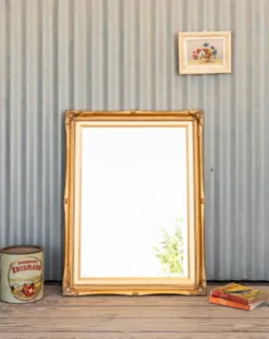 Georges, le miroir doré n°1329