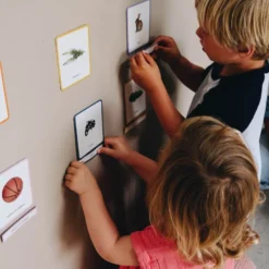 Giga mondy, 600 cartes montessori