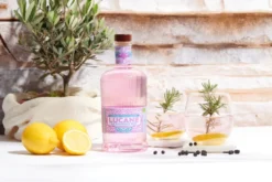 Gin BIO rose 45% vol.